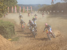 GCC Goldbach